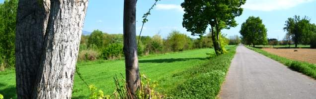 الايطالية في Figline Valdarno مع Language International